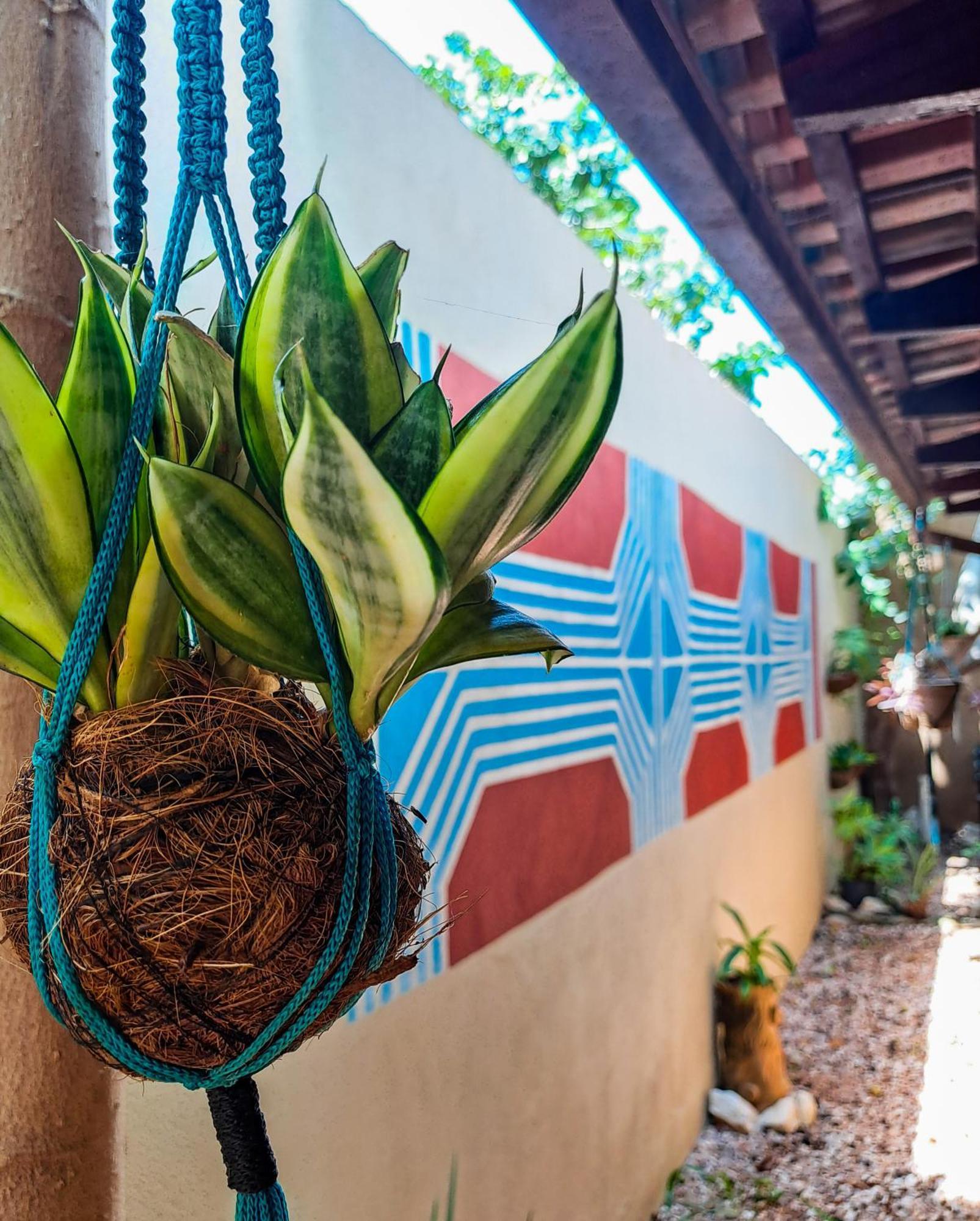 Savana Hostel São Jorge Eksteriør bilde